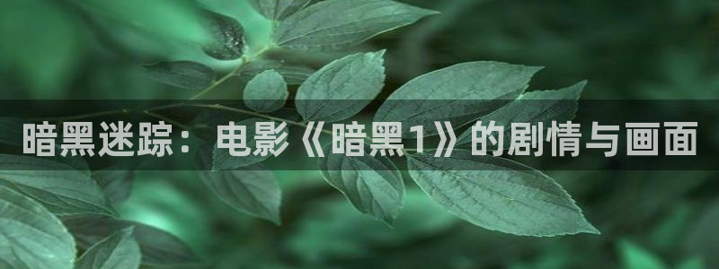 新闻图片